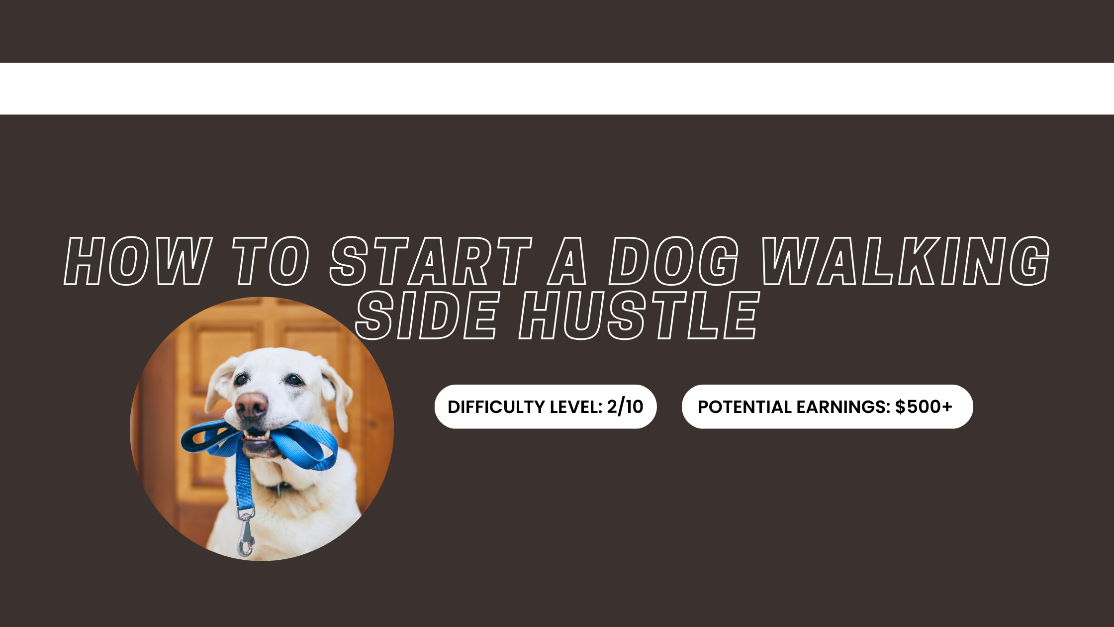 How to Start a Dog Walking Side Hustle